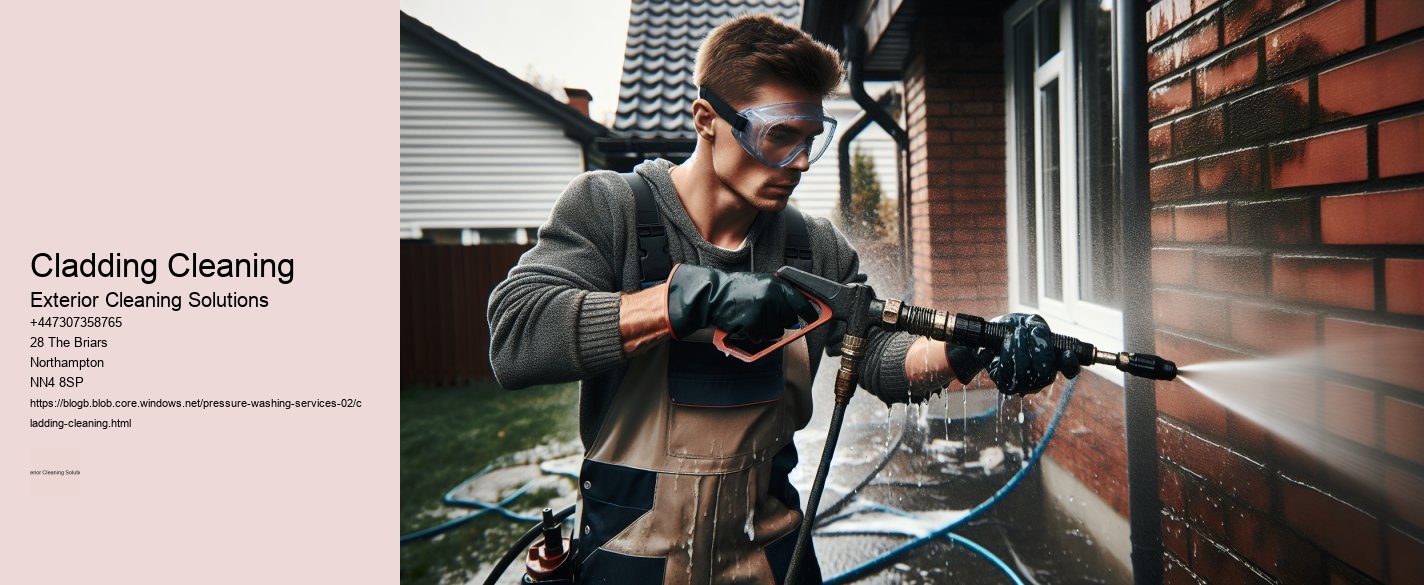 Cladding Cleaning