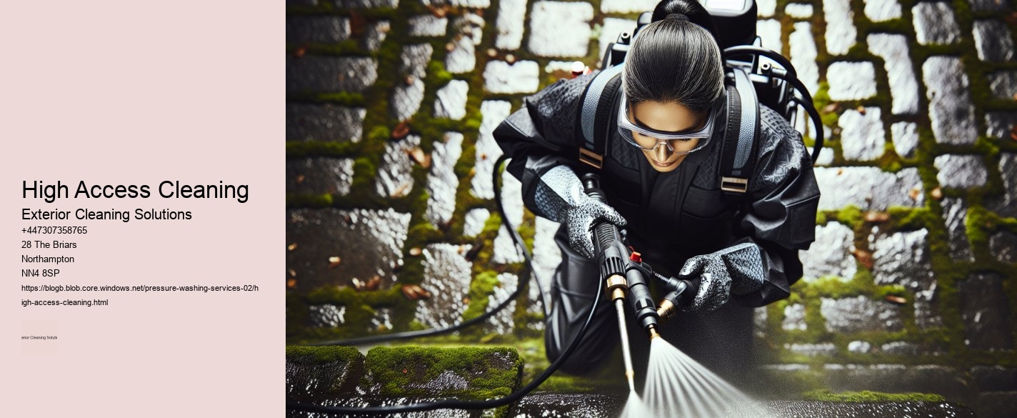 High Access Cleaning